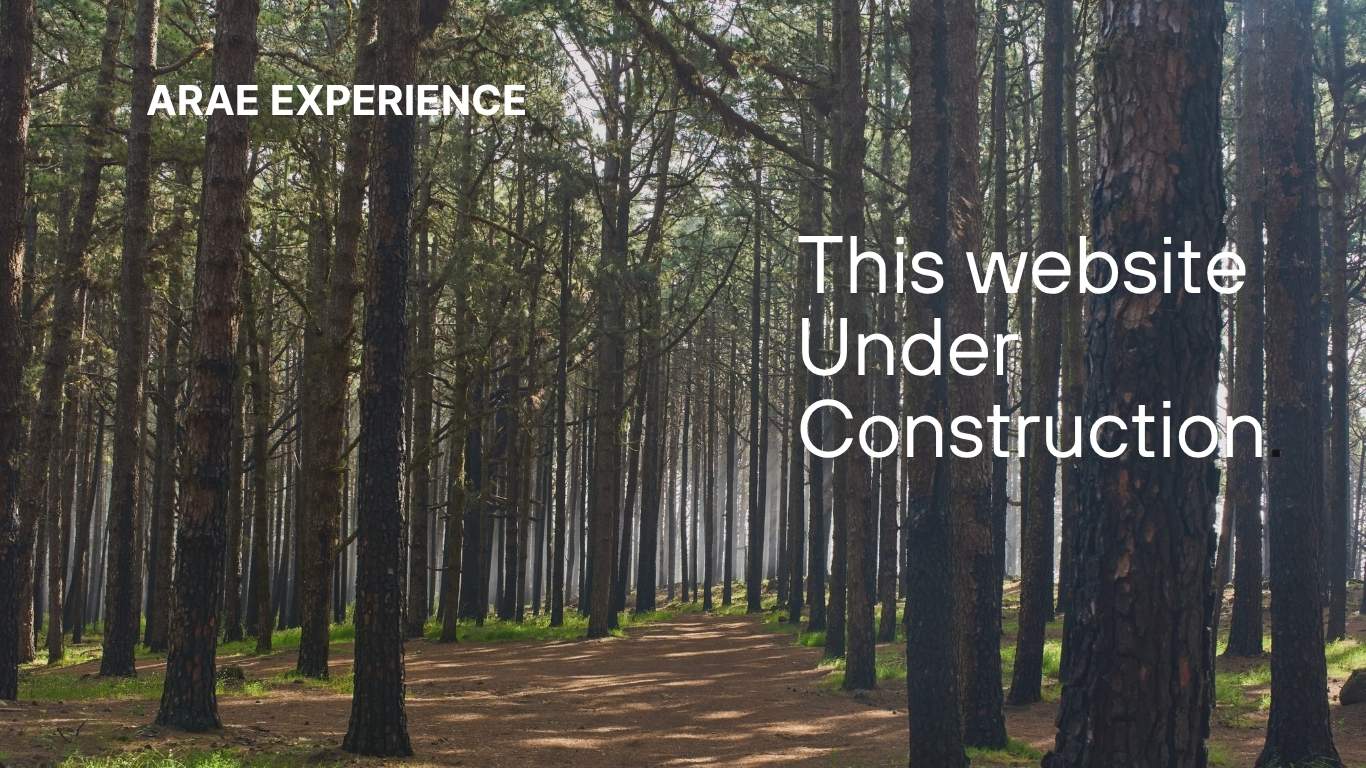 green 3 projects construction co.